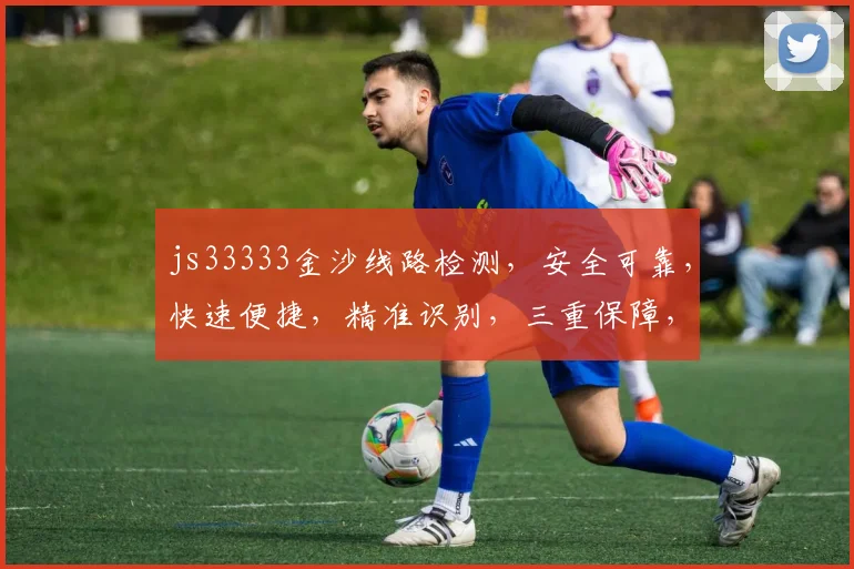 js33333金沙线路检测，安全可靠，快速便捷，精准识别，三重保障，不容错过