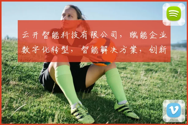 云开智能科技有限公司，赋能企业数字化转型，智能解决方案，创新科技，引领未来
