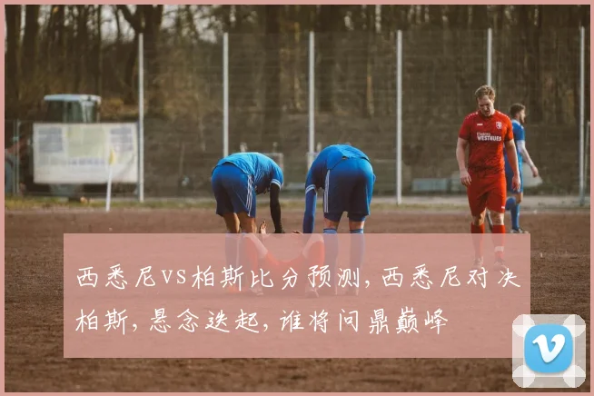 西悉尼vs柏斯比分预测,西悉尼对决柏斯,悬念迭起,谁将问鼎巅峰