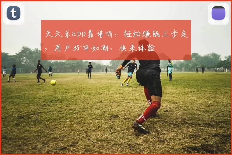 天天乐app靠谱吗，轻松赚钱三步走，用户好评如潮，快来体验