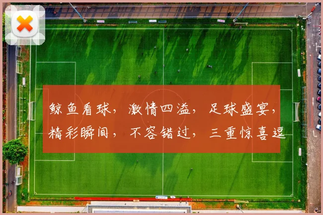 鲸鱼看球，激情四溢，足球盛宴，精彩瞬间，不容错过，三重惊喜逗你笑。