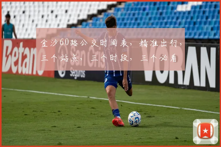 金沙60路公交时间表，精准出行，三个站点，三个时段，三个必看