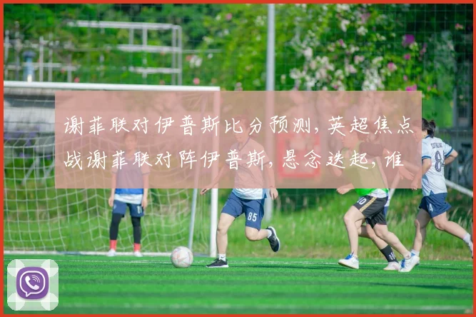 谢菲联对伊普斯比分预测,英超焦点战谢菲联对阵伊普斯,悬念迭起,谁将笑到最后